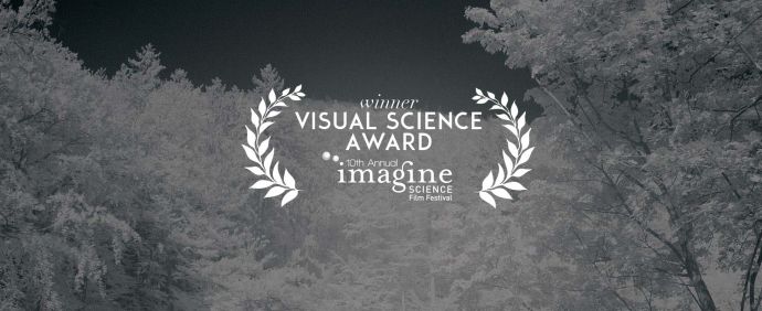 kt-01_socialpic-02-visual-award.jpg